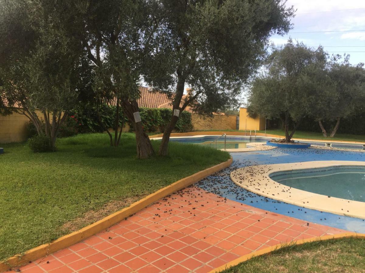 Habitaciones Turisticas Las Brisas Valencina de la Concepción エクステリア 写真