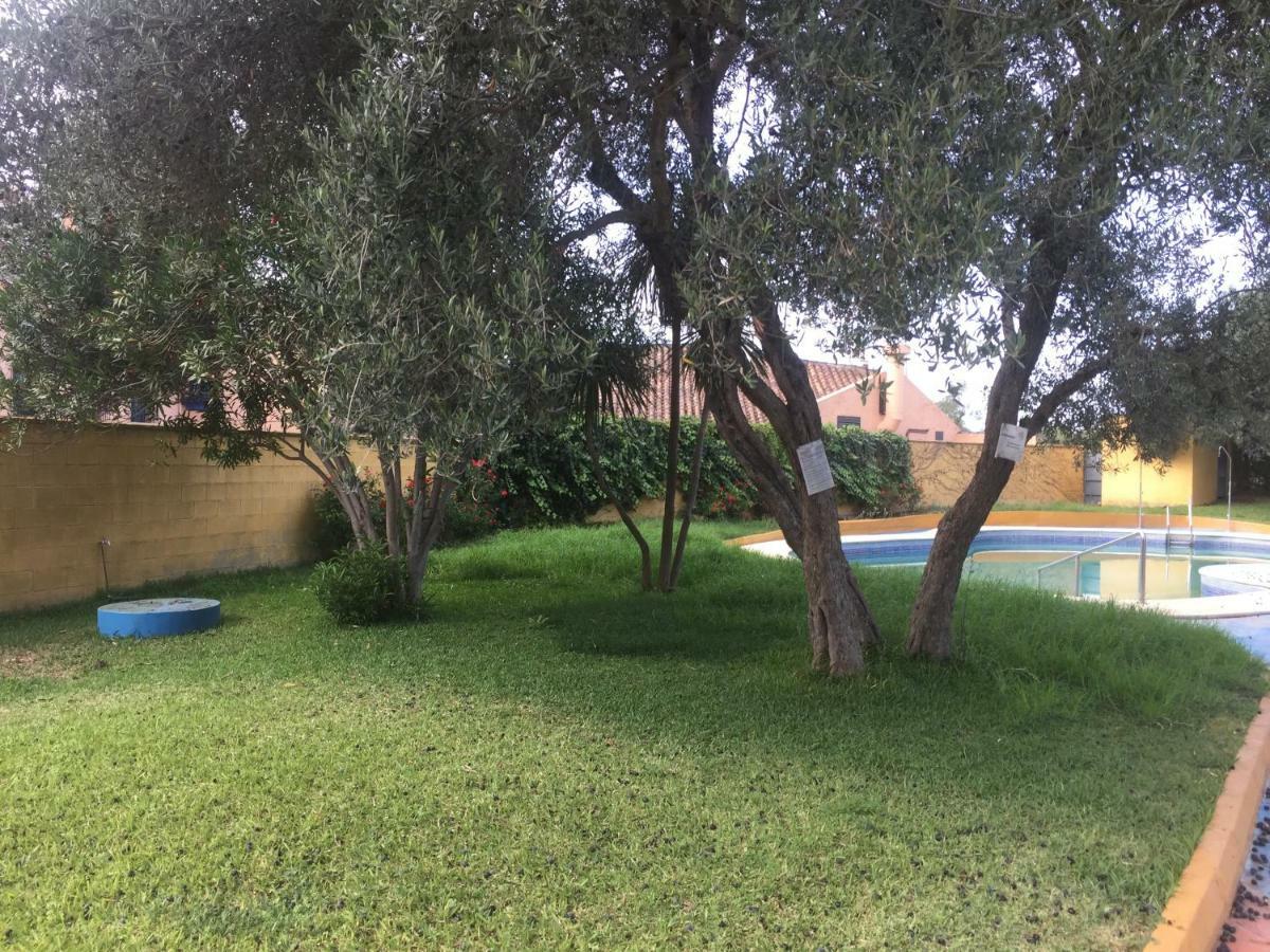 Habitaciones Turisticas Las Brisas Valencina de la Concepción エクステリア 写真
